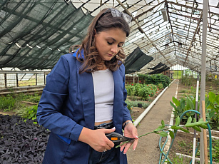 Экзамен пройден — путь к садовым вершинам открыт!